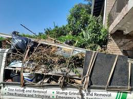 Reliable Dawson, GA Junk Removal Solutions